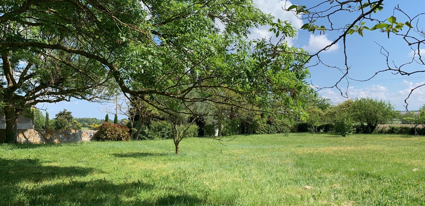 Photo du jardin